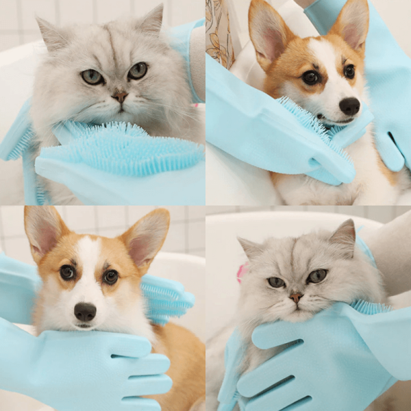 Grooming Gloves - Image 3