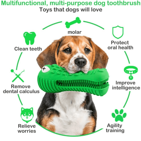 Crocodile Toothbrush and Chew Toy - Image 4
