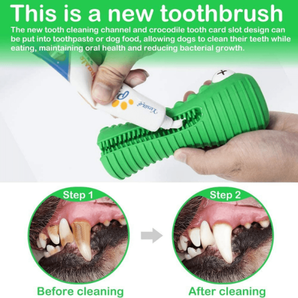 Crocodile Toothbrush and Chew Toy - Image 5
