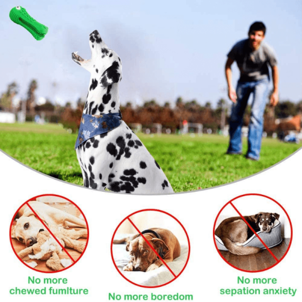 Crocodile Toothbrush and Chew Toy - Image 6