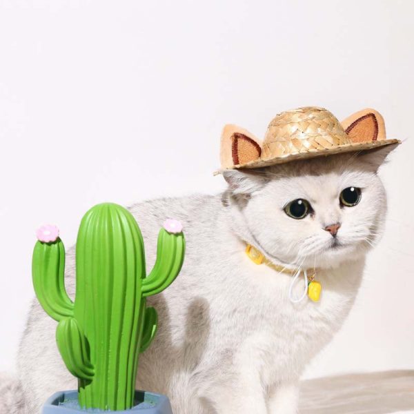 Cute Ears Cat Straw Hat - Image 3