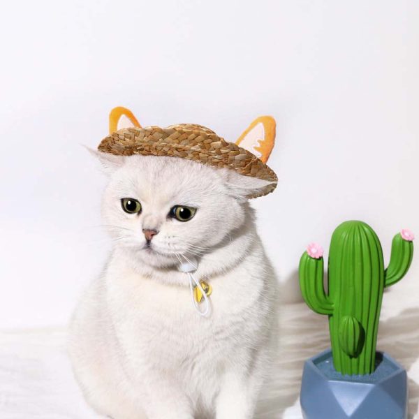 Cute Ears Cat Straw Hat - Image 4