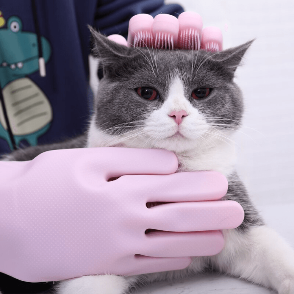 Grooming Gloves - Image 2
