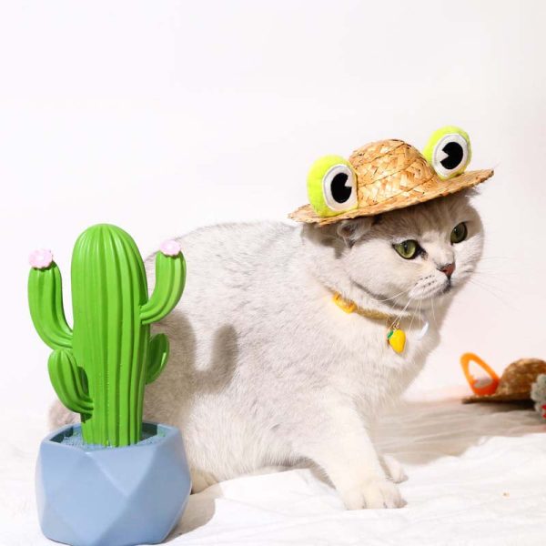 Cute Ears Cat Straw Hat - Image 2