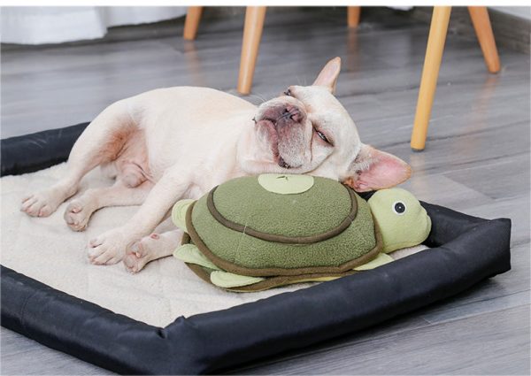 Turtle Design Dog Toy - Image 6