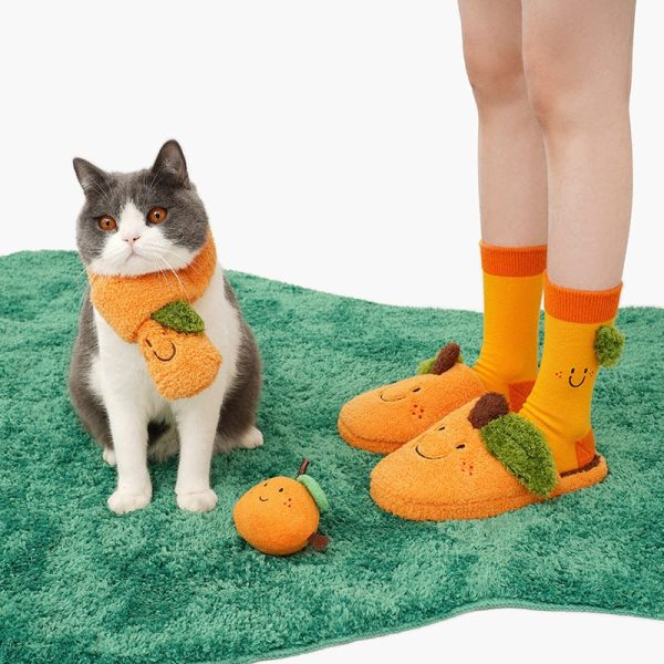 Matching Pet and Owner Orange Costumes