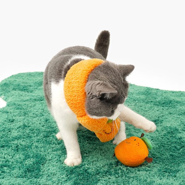 Matching Pet and Owner Orange Costumes - Image 4