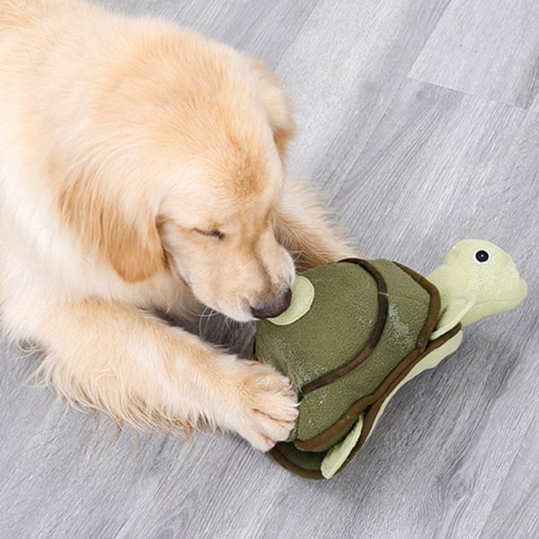 Turtle Design Dog Toy - Image 2