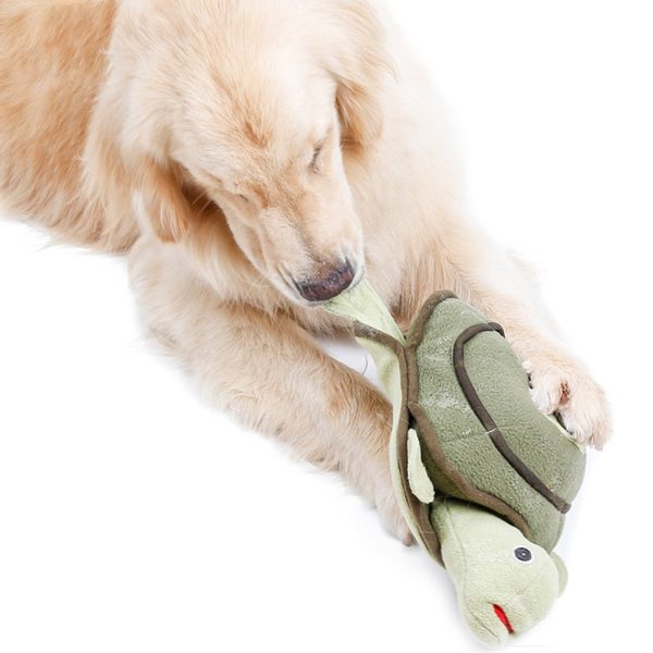 Turtle Design Dog Toy - Image 4