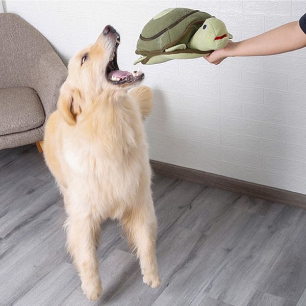 Turtle Design Dog Toy - Image 3